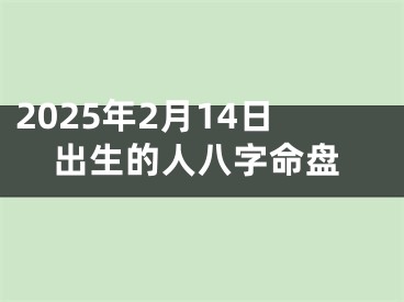 2025年2月14日出生的人八字命盘