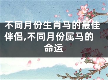 不同月份生肖马的最佳伴侣,不同月份属马的命运