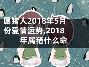 属猪人2018年5月份爱情运势,2018年属猪什么命