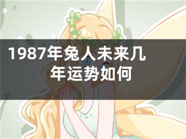 1987年兔人未来几年运势如何