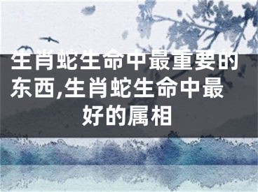 生肖蛇生命中最重要的东西,生肖蛇生命中最好的属相