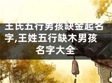 王氏五行男孩缺金起名字,王姓五行缺木男孩名字大全