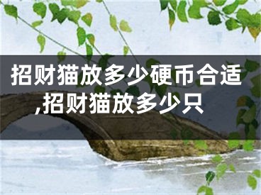 招财猫放多少硬币合适,招财猫放多少只