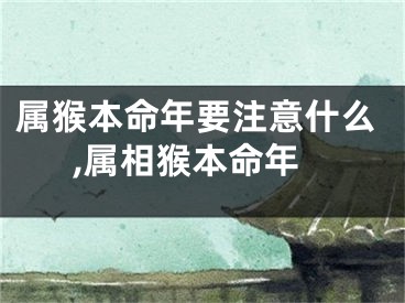 属猴本命年要注意什么,属相猴本命年