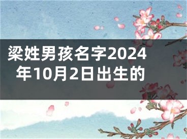 梁姓男孩名字2024年10月2日出生的