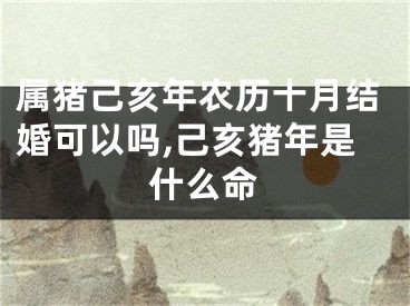 属猪己亥年农历十月结婚可以吗,己亥猪年是什么命