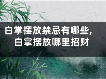 白掌摆放禁忌有哪些,白掌摆放哪里招财