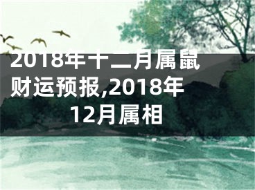 2018年十二月属鼠财运预报,2018年12月属相