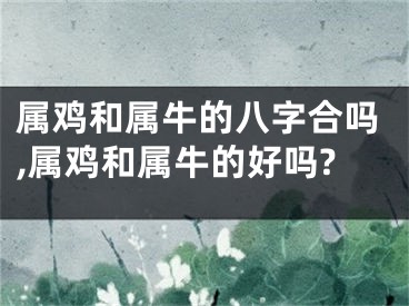 属鸡和属牛的八字合吗,属鸡和属牛的好吗?