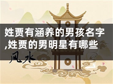 姓贾有涵养的男孩名字,姓贾的男明星有哪些