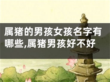 属猪的男孩女孩名字有哪些,属猪男孩好不好