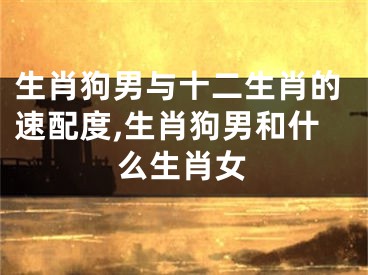 生肖狗男与十二生肖的速配度,生肖狗男和什么生肖女
