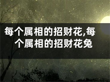 每个属相的招财花,每个属相的招财花兔