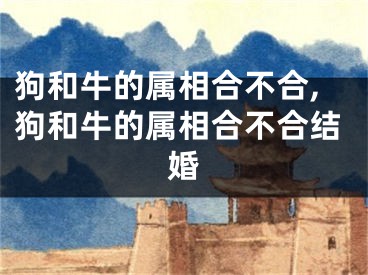 狗和牛的属相合不合,狗和牛的属相合不合结婚