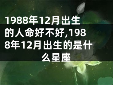 1988年12月出生的人命好不好,1988年12月出生的是什么星座