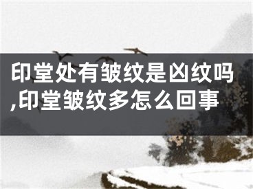 印堂处有皱纹是凶纹吗,印堂皱纹多怎么回事