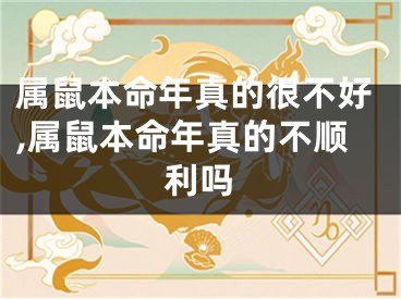 属鼠本命年真的很不好,属鼠本命年真的不顺利吗