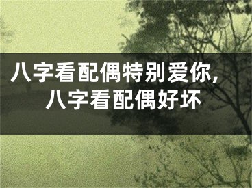 八字看配偶特别爱你,八字看配偶好坏