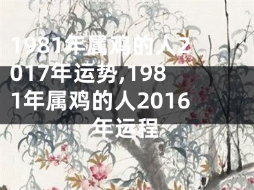 1981年属鸡的人2017年运势,1981年属鸡的人2016年运程