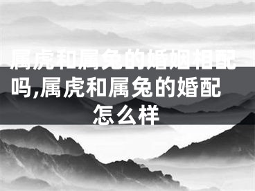属虎和属兔的婚姻相配吗,属虎和属兔的婚配怎么样