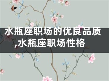 水瓶座职场的优良品质,水瓶座职场性格