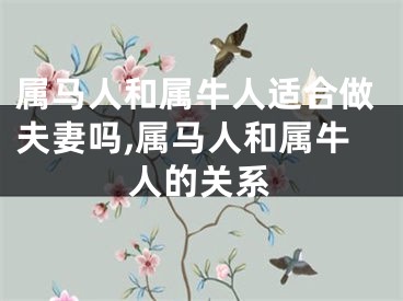 属马人和属牛人适合做夫妻吗,属马人和属牛人的关系
