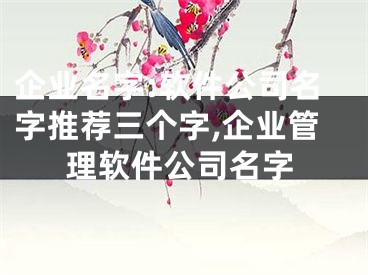 企业名字:软件公司名字推荐三个字,企业管理软件公司名字