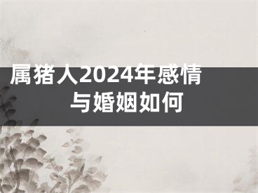 属猪人2024年感情与婚姻如何