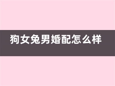 狗女兔男婚配怎么样