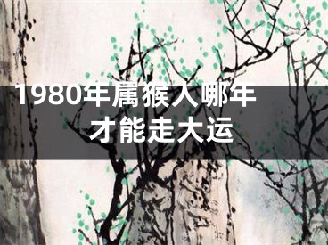 1980年属猴人哪年才能走大运