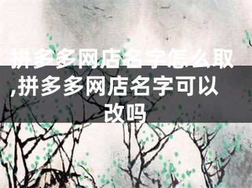 拼多多网店名字怎么取,拼多多网店名字可以改吗