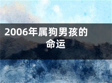 2006年属狗男孩的命运