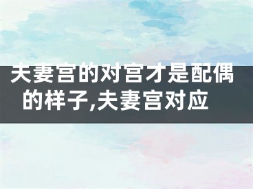 夫妻宫的对宫才是配偶的样子,夫妻宫对应