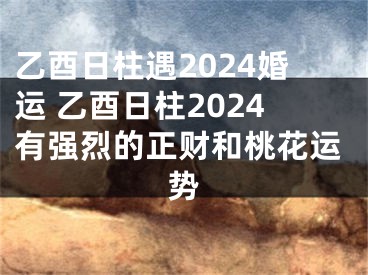 乙酉日柱遇2024婚运 乙酉日柱2024有强烈的正财和桃花运势