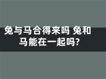 兔与马合得来吗 兔和马能在一起吗?