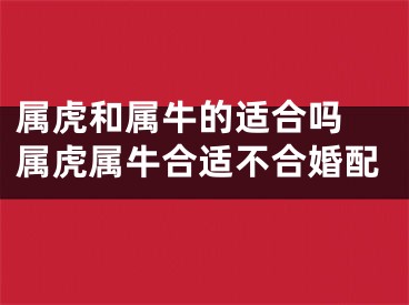 属虎和属牛的适合吗 属虎属牛合适不合婚配