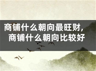 商铺什么朝向最旺财,商铺什么朝向比较好