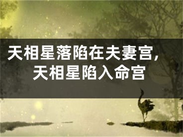 天相星落陷在夫妻宫,天相星陷入命宫