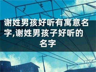 谢姓男孩好听有寓意名字,谢姓男孩子好听的名字