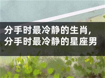 分手时最冷静的生肖,分手时最冷静的星座男