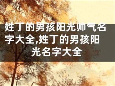 姓丁的男孩阳光帅气名字大全,姓丁的男孩阳光名字大全