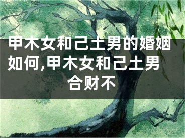 甲木女和己土男的婚姻如何,甲木女和己土男合财不