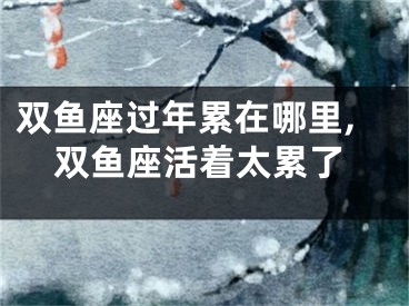 双鱼座过年累在哪里,双鱼座活着太累了