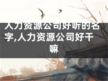 人力资源公司好听的名字,人力资源公司好干嘛