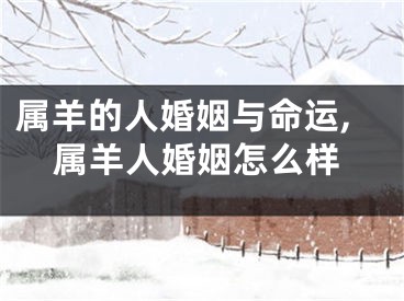 属羊的人婚姻与命运,属羊人婚姻怎么样