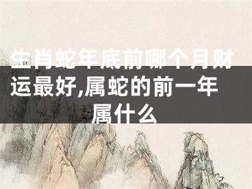 生肖蛇年底前哪个月财运最好,属蛇的前一年属什么