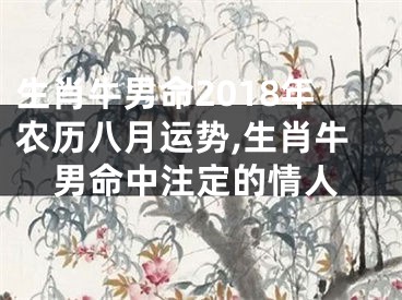 生肖牛男命2018年农历八月运势,生肖牛男命中注定的情人