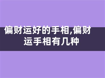 偏财运好的手相,偏财运手相有几种