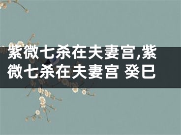 紫微七杀在夫妻宫,紫微七杀在夫妻宫 癸巳
