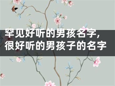 罕见好听的男孩名字,很好听的男孩子的名字